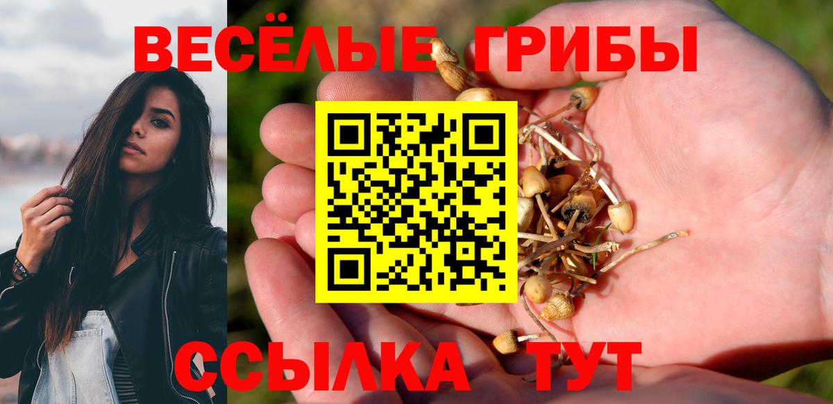 Псилоцибиновые грибы ЛСД Южно-Сахалинск